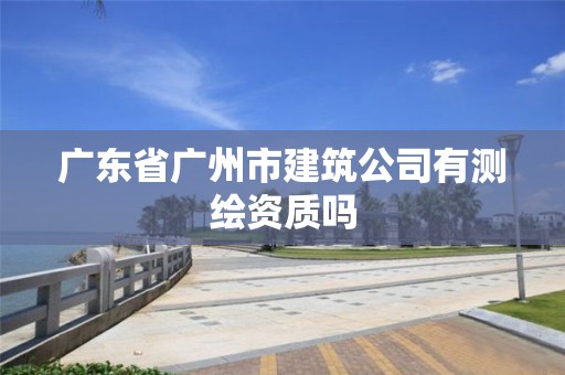 广东省广州市建筑公司有测绘资质吗