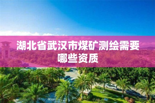 湖北省武汉市煤矿测绘需要哪些资质