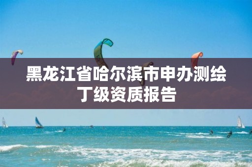 黑龙江省哈尔滨市申办测绘丁级资质报告