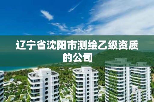 辽宁省沈阳市测绘乙级资质的公司