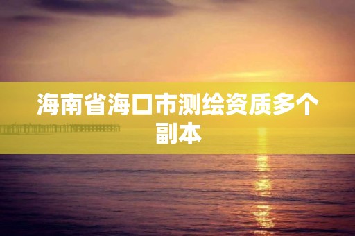 海南省海口市测绘资质多个副本