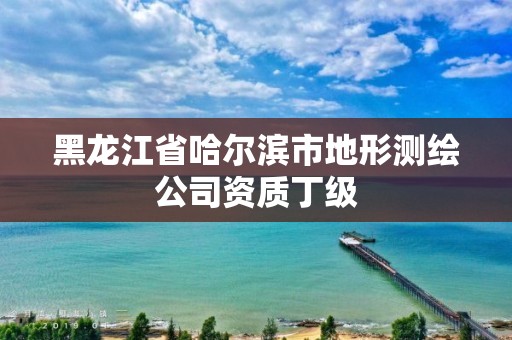 黑龙江省哈尔滨市地形测绘公司资质丁级