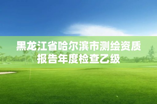 黑龙江省哈尔滨市测绘资质报告年度检查乙级