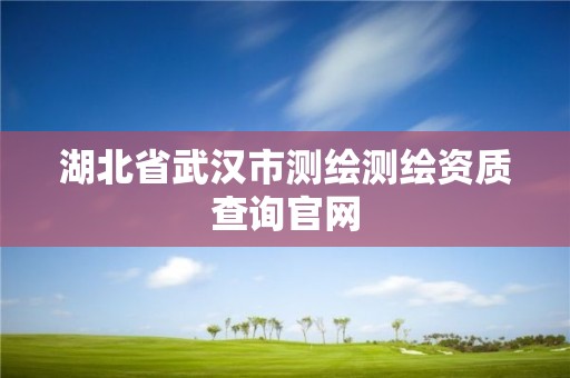 湖北省武汉市测绘测绘资质查询官网