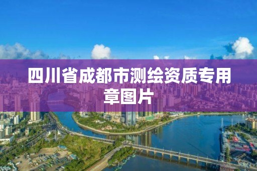 四川省成都市测绘资质专用章图片