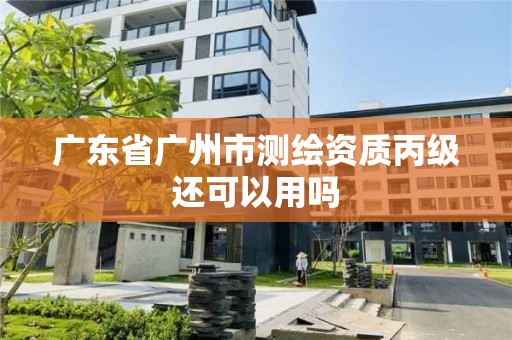 广东省广州市测绘资质丙级还可以用吗