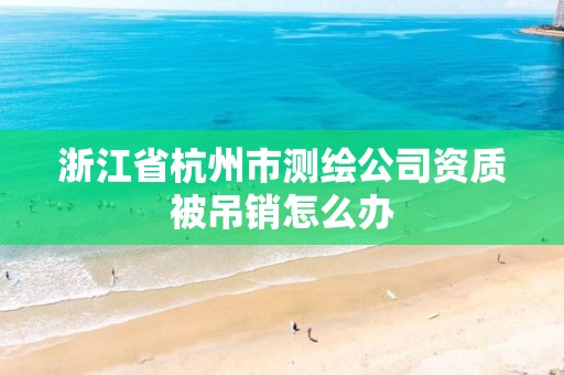 浙江省杭州市测绘公司资质被吊销怎么办