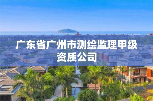 广东省广州市测绘监理甲级资质公司