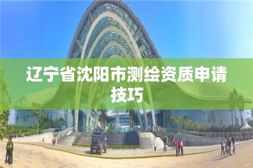 辽宁省沈阳市测绘资质申请技巧