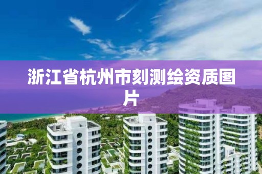 浙江省杭州市刻测绘资质图片