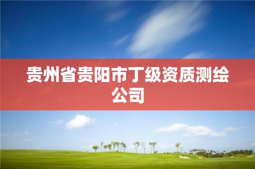 贵州省贵阳市丁级资质测绘公司