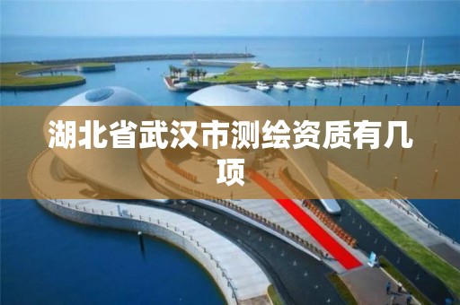 湖北省武汉市测绘资质有几项