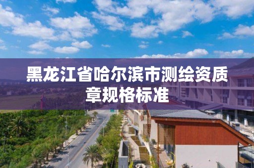 黑龙江省哈尔滨市测绘资质章规格标准