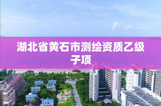 湖北省黄石市测绘资质乙级子项