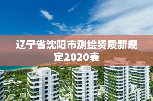 辽宁省沈阳市测绘资质新规定2020表