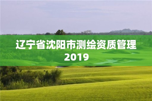 辽宁省沈阳市测绘资质管理2019