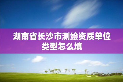 湖南省长沙市测绘资质单位类型怎么填