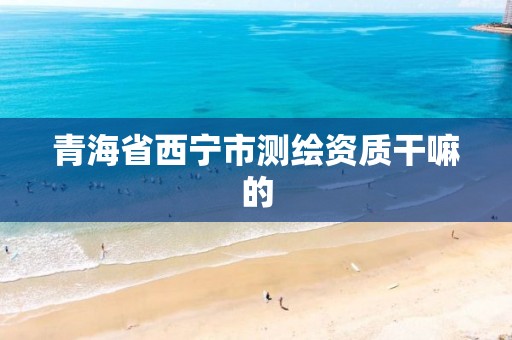 青海省西宁市测绘资质干嘛的