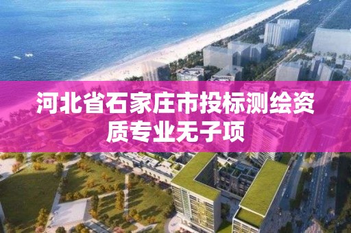 河北省石家庄市投标测绘资质专业无子项