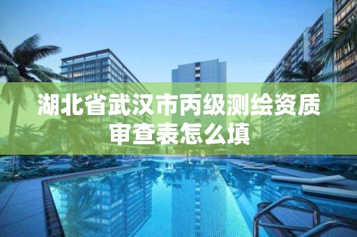 湖北省武汉市丙级测绘资质审查表怎么填