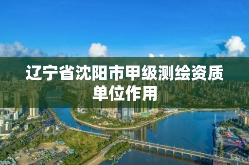 辽宁省沈阳市甲级测绘资质单位作用