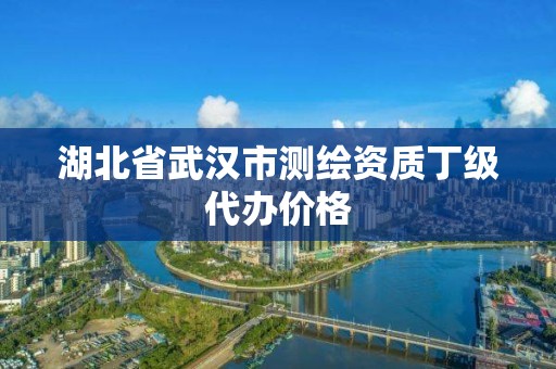 湖北省武汉市测绘资质丁级代办价格