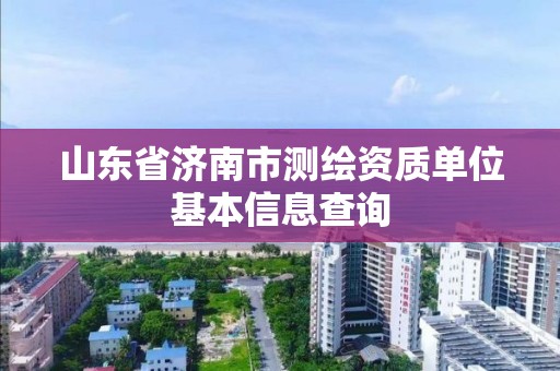 山东省济南市测绘资质单位基本信息查询