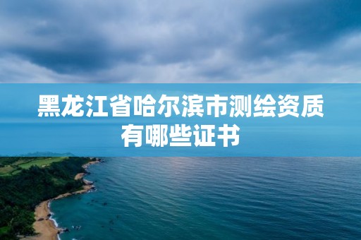 黑龙江省哈尔滨市测绘资质有哪些证书