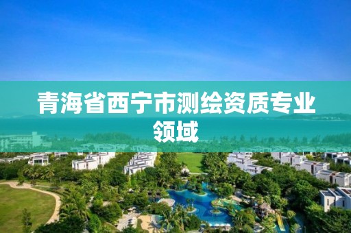 青海省西宁市测绘资质专业领域