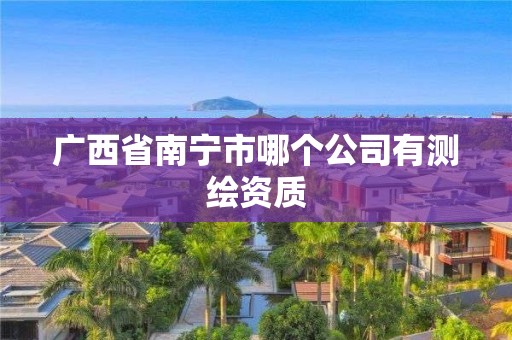 广西省南宁市哪个公司有测绘资质