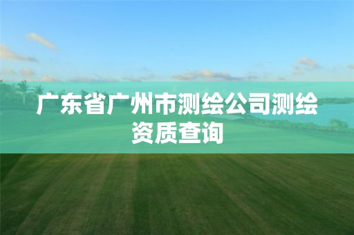 广东省广州市测绘公司测绘资质查询