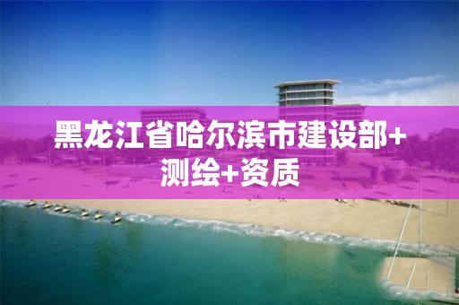 黑龙江省哈尔滨市建设部+测绘+资质