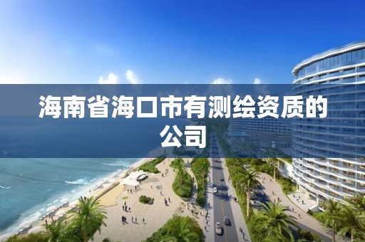 海南省海口市有测绘资质的公司