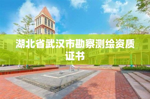 湖北省武汉市勘察测绘资质证书