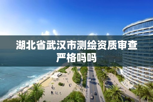 湖北省武汉市测绘资质审查严格吗吗