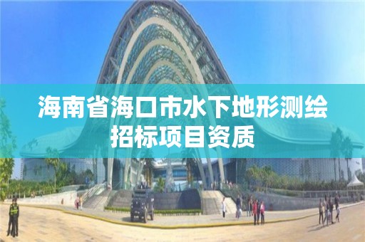 海南省海口市水下地形测绘招标项目资质