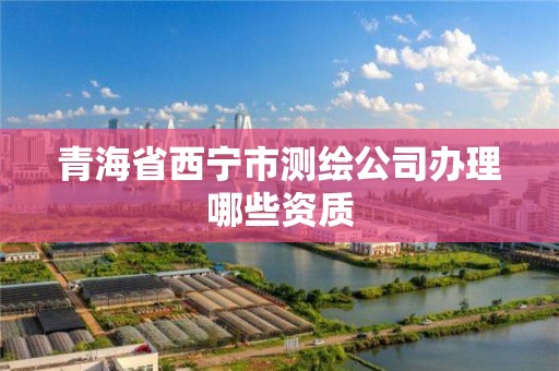 青海省西宁市测绘公司办理哪些资质