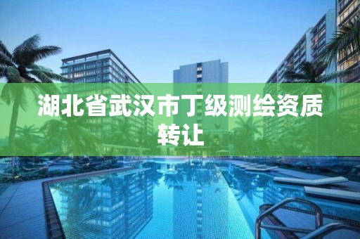 湖北省武汉市丁级测绘资质转让