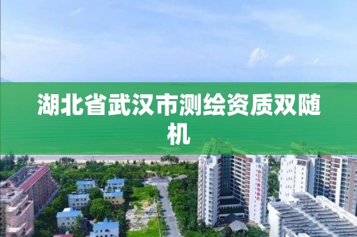 湖北省武汉市测绘资质双随机