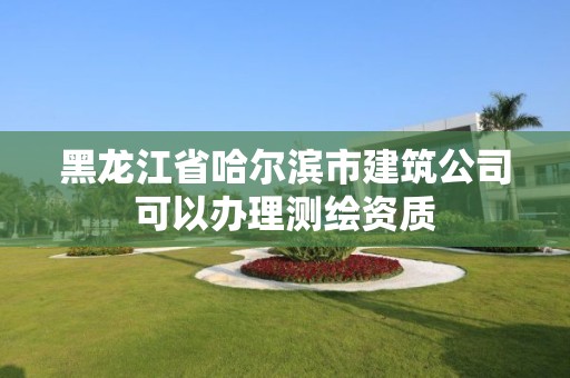 黑龙江省哈尔滨市建筑公司可以办理测绘资质