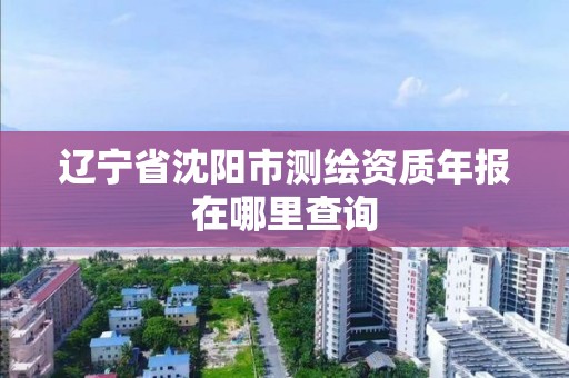 辽宁省沈阳市测绘资质年报在哪里查询