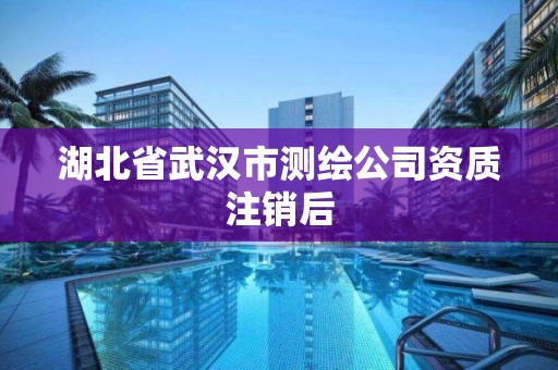 湖北省武汉市测绘公司资质注销后