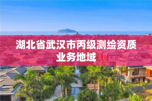 湖北省武汉市丙级测绘资质业务地域