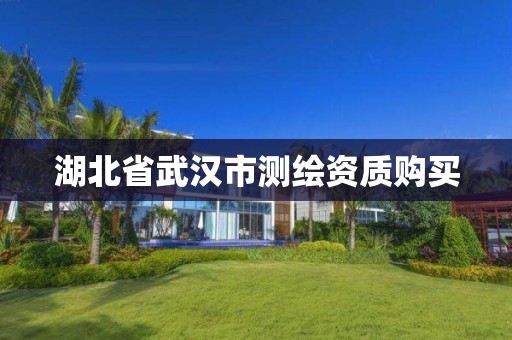 湖北省武汉市测绘资质购买