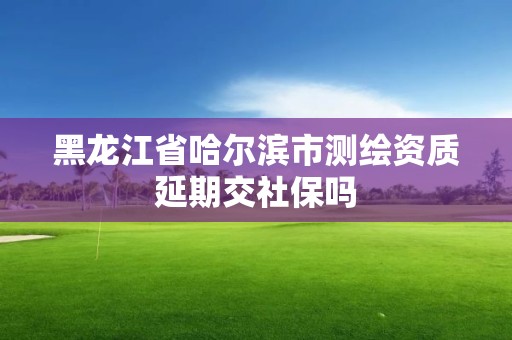 黑龙江省哈尔滨市测绘资质延期交社保吗