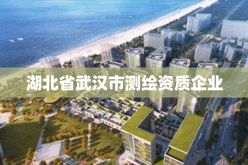 湖北省武汉市测绘资质企业