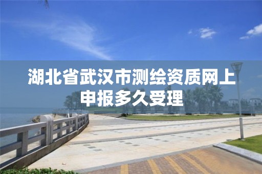 湖北省武汉市测绘资质网上申报多久受理