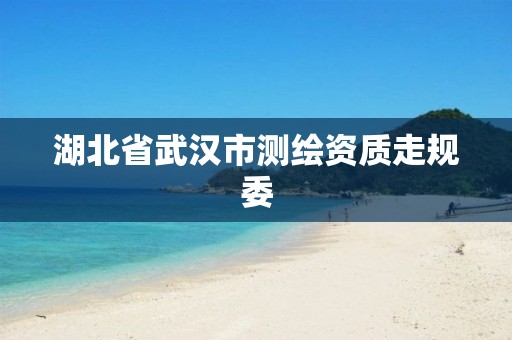 湖北省武汉市测绘资质走规委