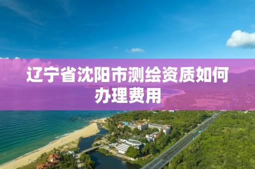 辽宁省沈阳市测绘资质如何办理费用