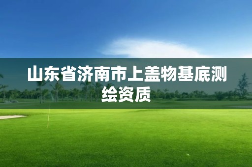 山东省济南市上盖物基底测绘资质